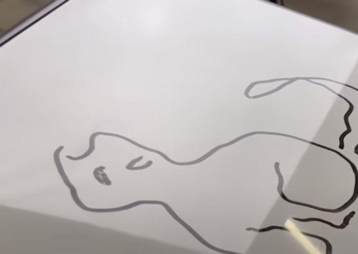 Artistic Skill by Drawing a Cat